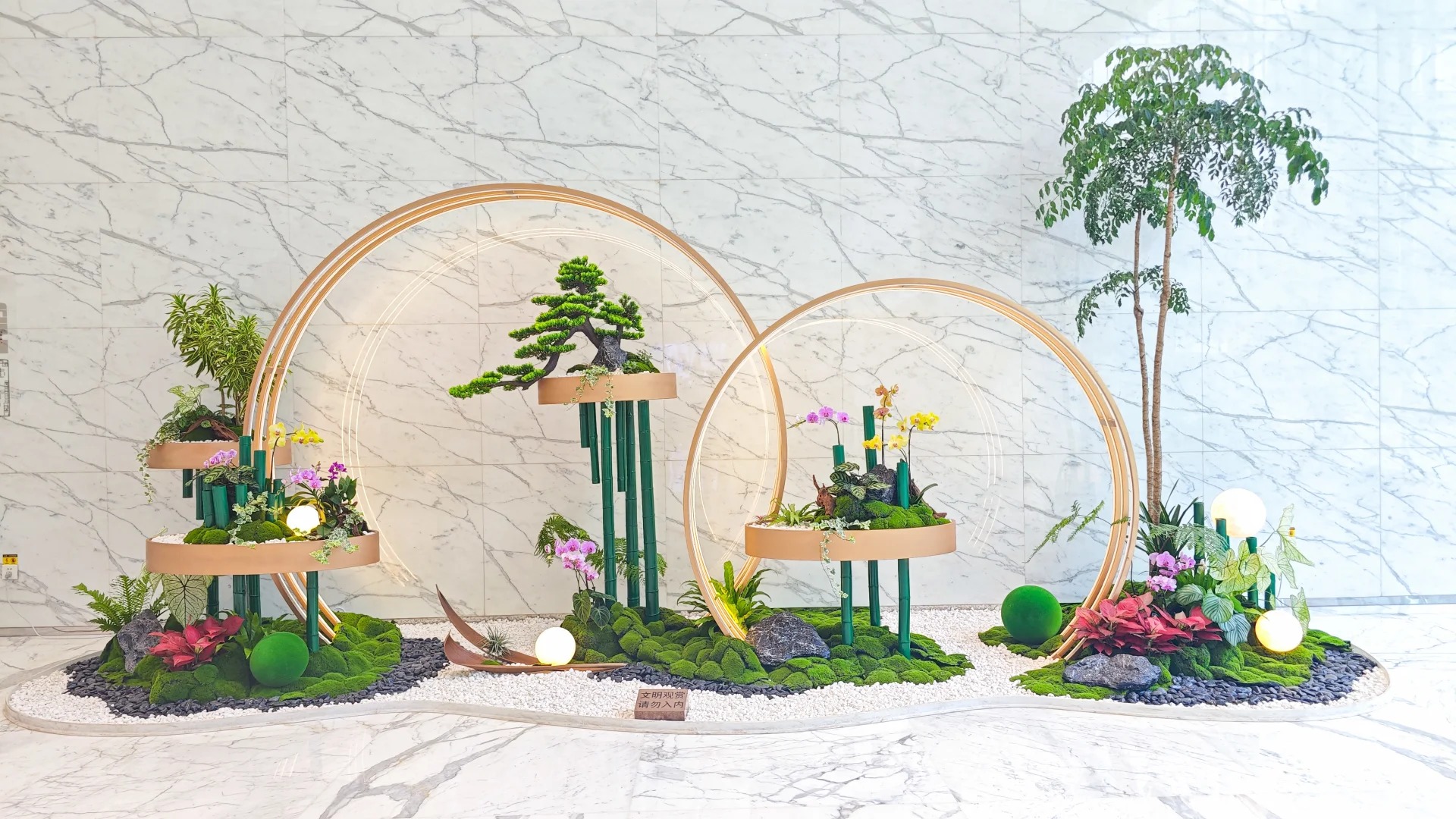 了解北仑花卉出租方案，装扮魅力空间